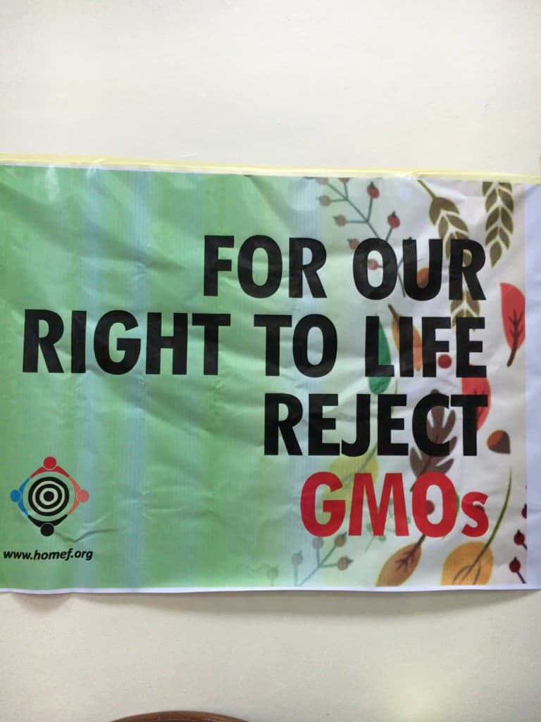 An Eye on Biosafety