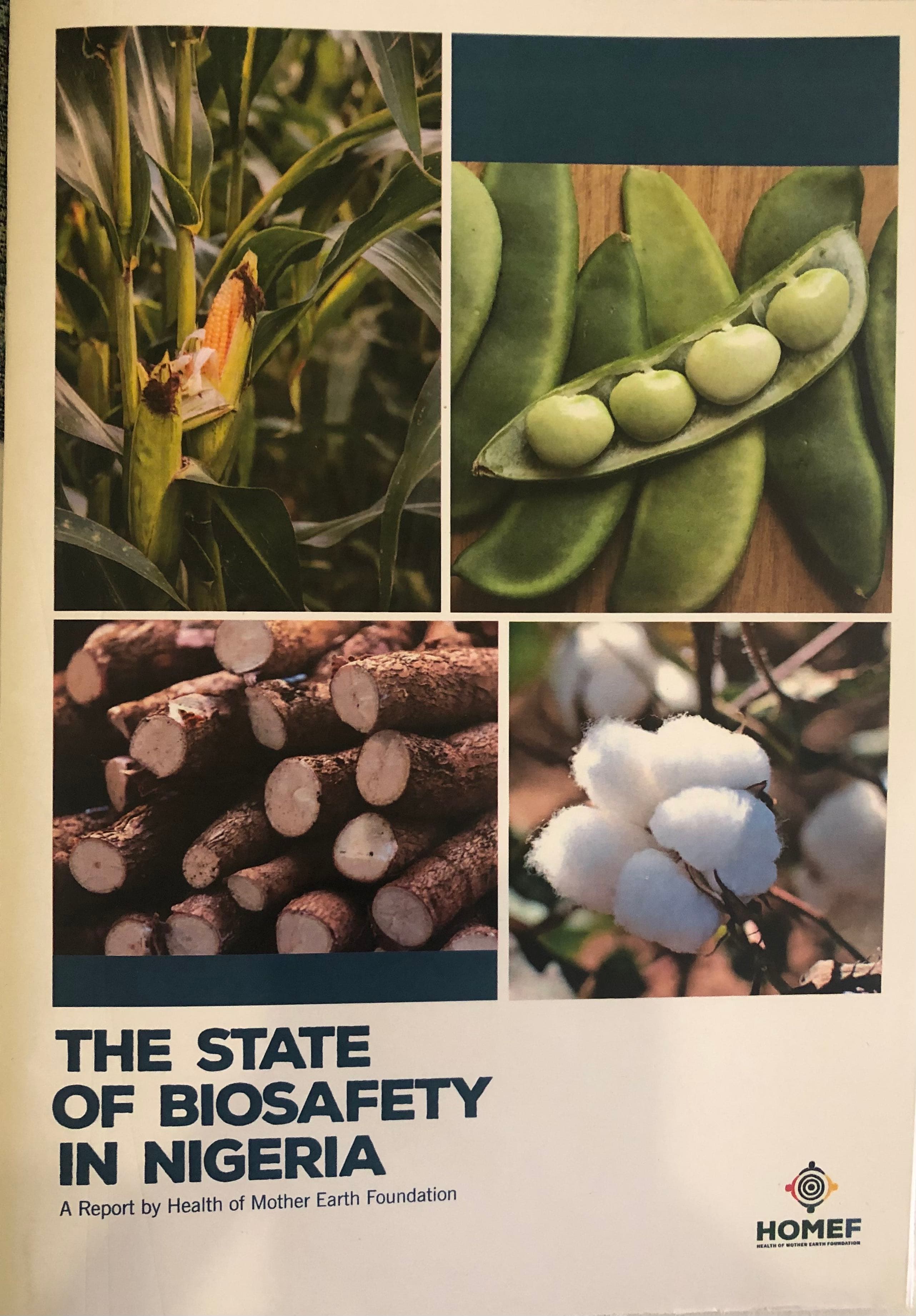 Emerging Technologies and the Politics of Hunger