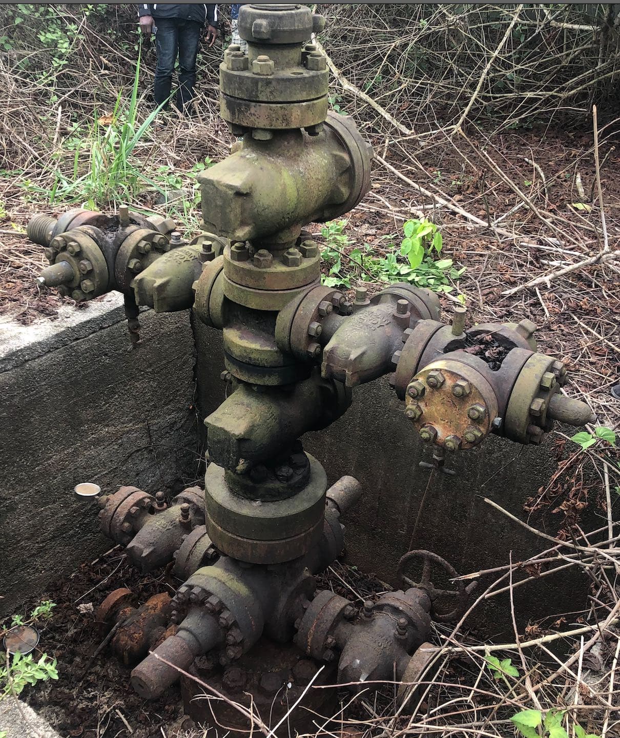 What After Oil