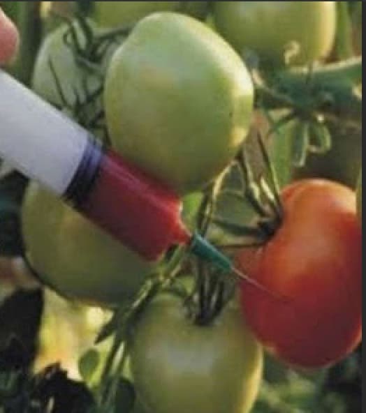 I will not Eat a Pesticide