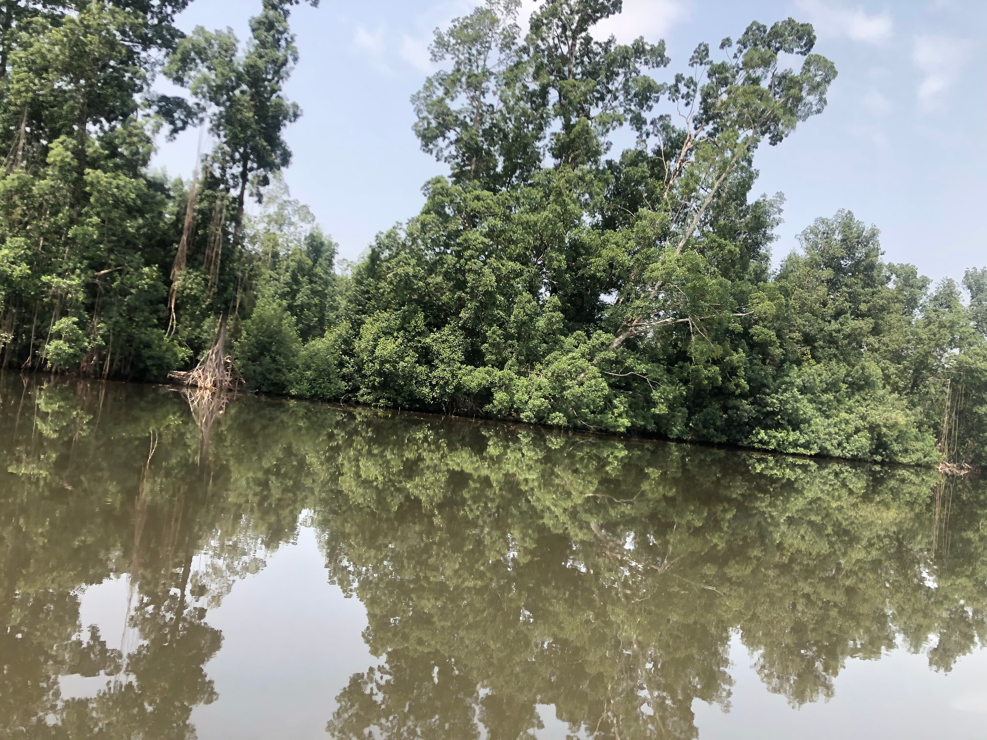 Environmental History of Nigeria 101