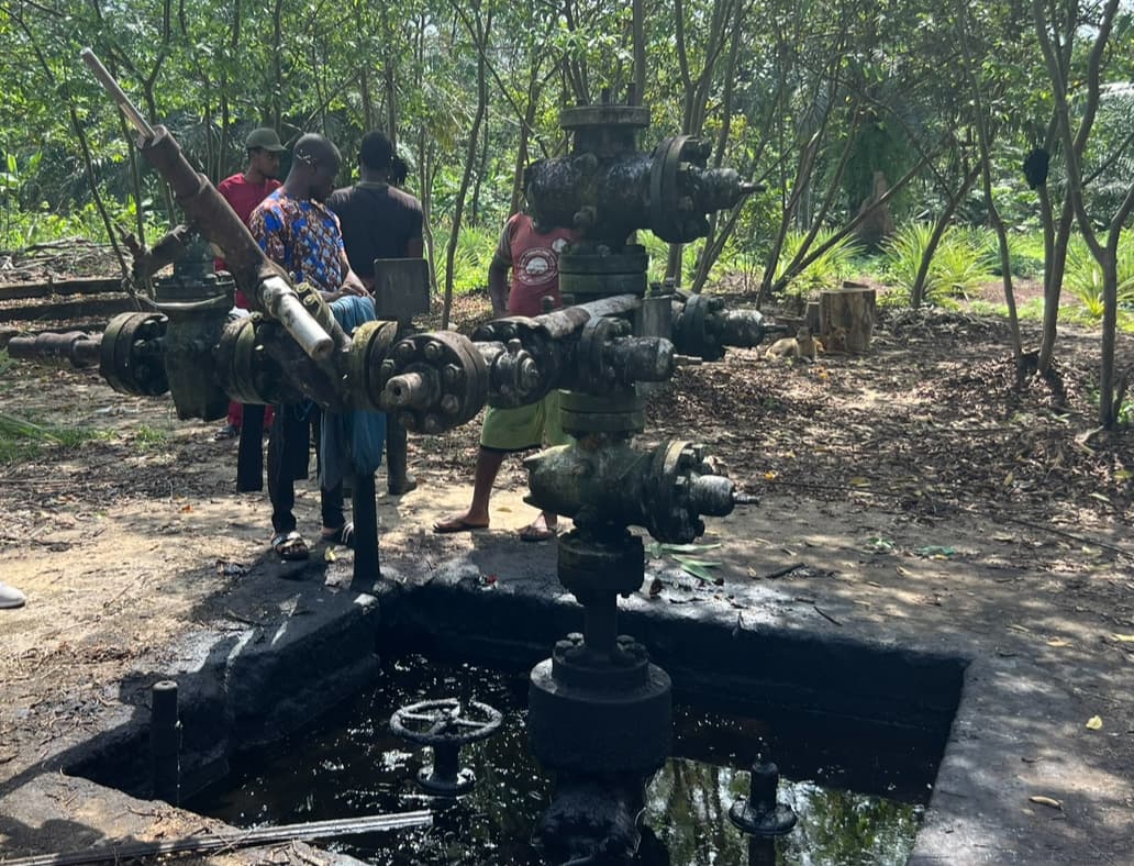 Extractivism and Cultural Resistance